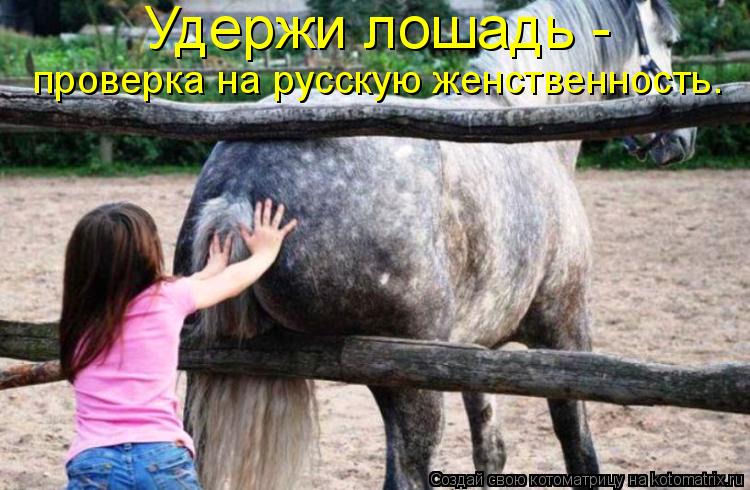 Котоматрица: Удержи лошадь -  проверка на русскую женственность.