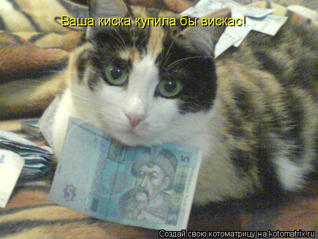 Ваша киска купила бы вискас!... Котоматрица: Ваша киска купила бы вискас!