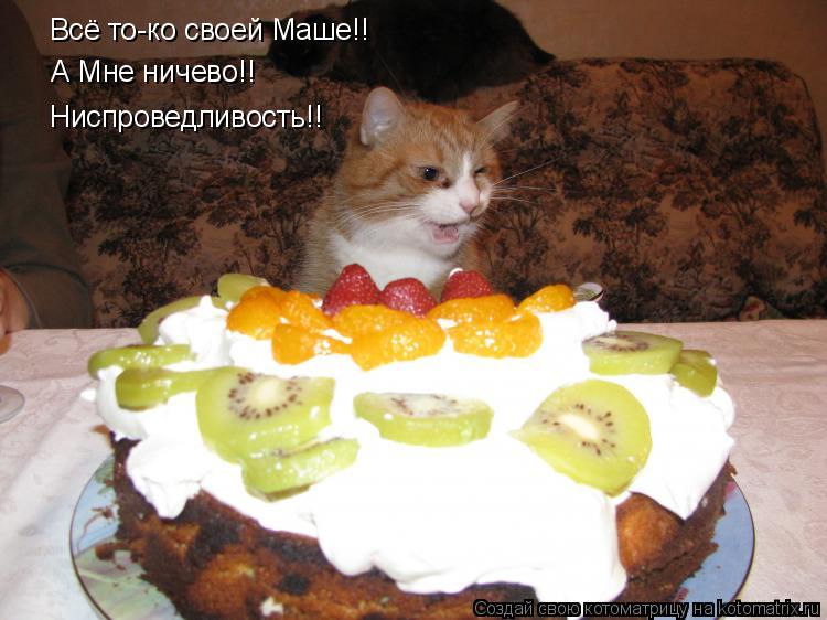 Всё то-ко своей Маше!! А Мне ничево!! Ниспроведливость!!... Котоматрица: Всё то-ко своей Маше!! А Мне ничево!! Ниспроведливость!!