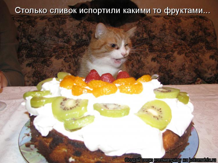 Столько сливок испортили какими то фруктами...... Котоматрица: Столько сливок испортили какими то фруктами...