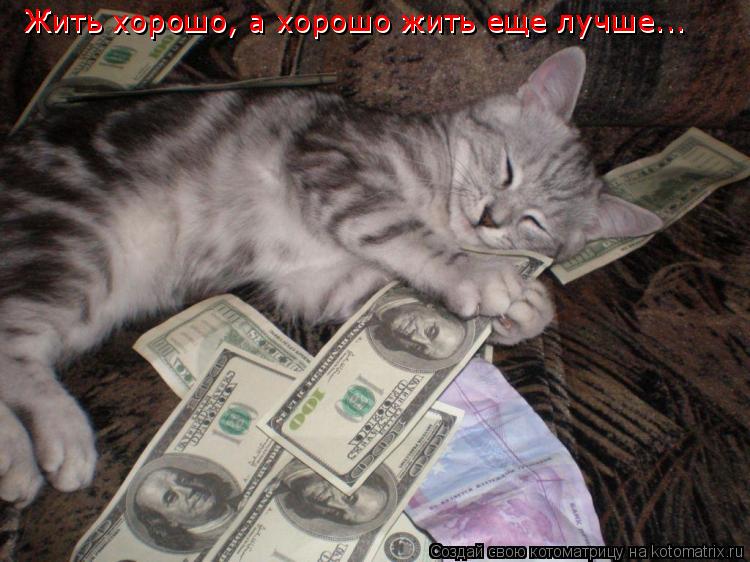 Жить хорошо, а хорошо жить еще лучше... Жить хорошо, а хорошо жить еще лучше...... Котоматрица: Жить хорошо, а хорошо жить еще лучше... Жить хорошо, а хорошо жить еще лучше...