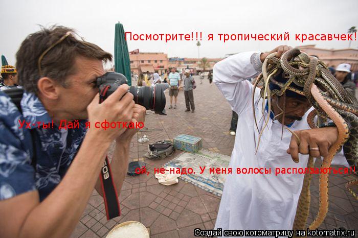 Посмотрите!!! я тропический красавчек!!! Ух-ты! Дай я сфоткаю Ух-ты! Дай я сфоткаю ой, не-надо. У мен... Котоматрица: Посмотрите!!! я тропический красавчек!!! Ух-ты! Дай я сфоткаю Ух-ты! Дай я сфоткаю ой, не-надо. У меня волосы расползаються!!! ой, не-надо. У меня в