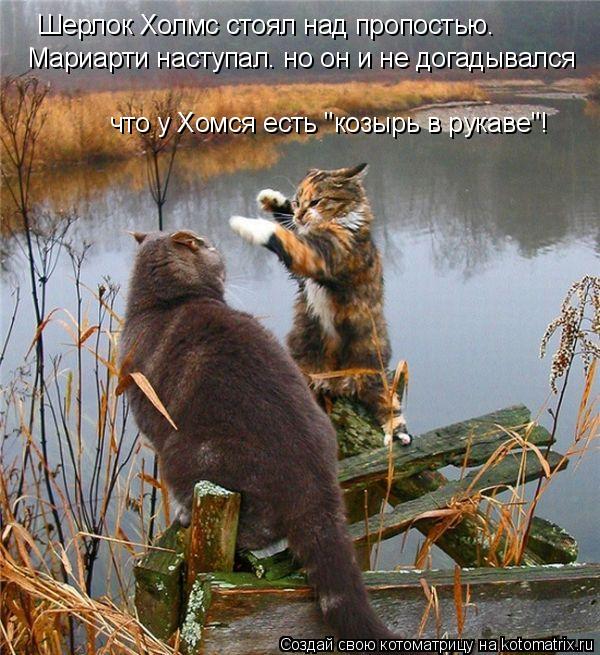 Шерлок Холмс стоял над пропостью. Мариарти наступал. но он и не догадывался что у Хомся есть "козырь... Котоматрица: Шерлок Холмс стоял над пропостью. Мариарти наступал. но он и не догадывался что у Хомся есть "козырь в рукаве"!
