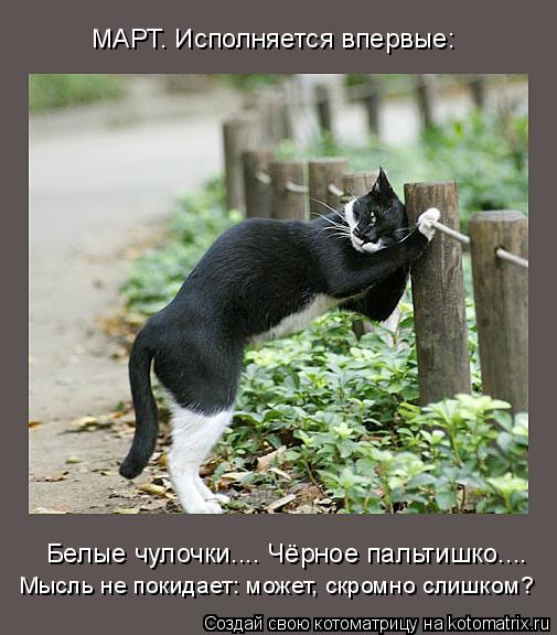 Мысль не покидает: может, скромно слишком? Белые чулочки.... Чёрное пальтишко.... МАРТ. Исполняется... Котоматрица: Мысль не покидает: может, скромно слишком? Белые чулочки.... Чёрное пальтишко.... МАРТ. Исполняется впервые: