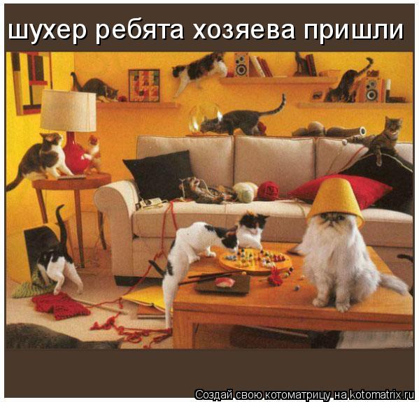 шухер ребята хозяева пришли... Котоматрица: шухер ребята хозяева пришли