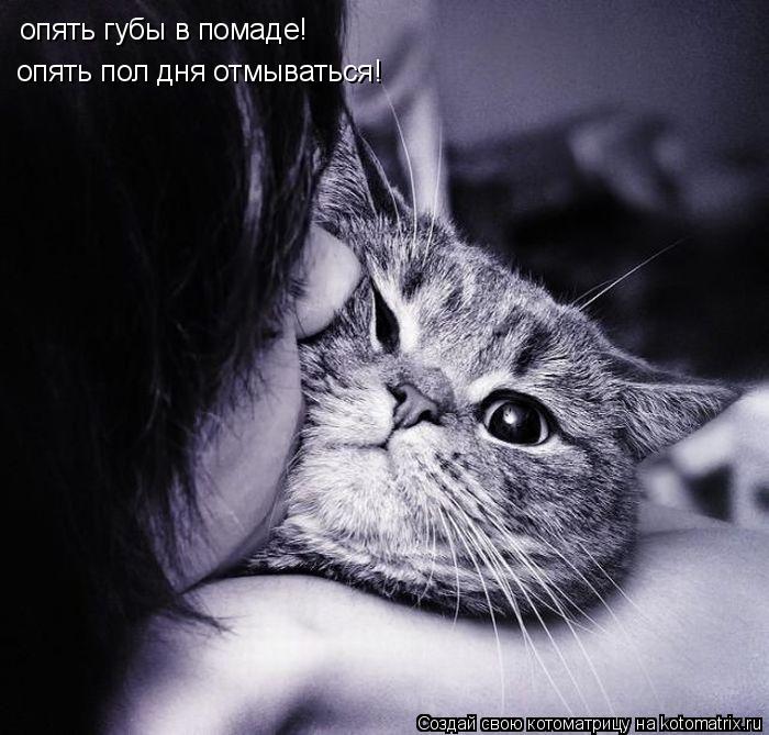 опять губы в помаде! опять пол дня отмываться!... Котоматрица: опять губы в помаде! опять пол дня отмываться!