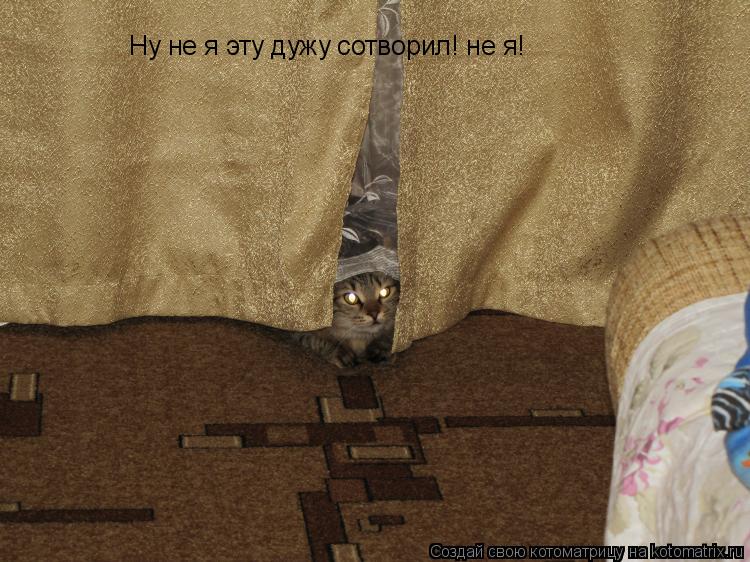 Ну не я эту дужу сотворил! не я!... Котоматрица: Ну не я эту дужу сотворил! не я!