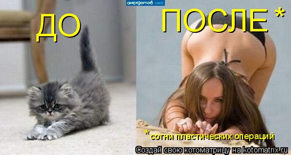 ДО ПОСЛЕ * сотни пластических операций *... Котоматрица: ДО ПОСЛЕ * сотни пластических операций *