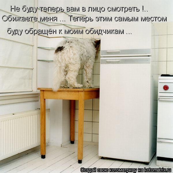 Не буду теперь вам в лицо смотреть !.. Обижаете меня ... Теперь этим самым местом буду обращён к мои... Котоматрица: Не буду теперь вам в лицо смотреть !.. Обижаете меня ... Теперь этим самым местом буду обращён к моим обидчикам ...