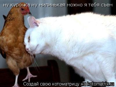 ну курочка ну милинькая можно я тебя съем... Котоматрица: ну курочка ну милинькая можно я тебя съем
