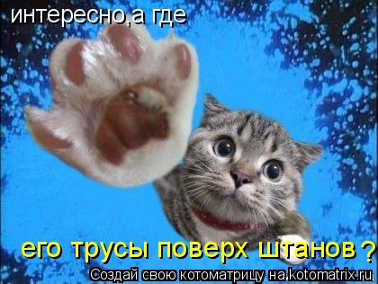 интересно,а где его трусы поверх штанов ?... Котоматрица: интересно,а где его трусы поверх штанов ?
