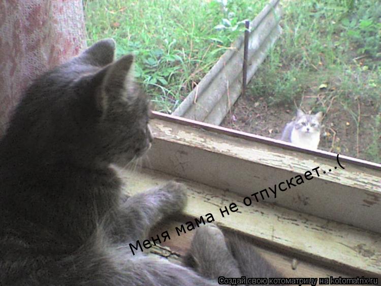Меня мама не отпускает...( Меня мама не отпускает...(... Котоматрица: Меня мама не отпускает...( Меня мама не отпускает...(