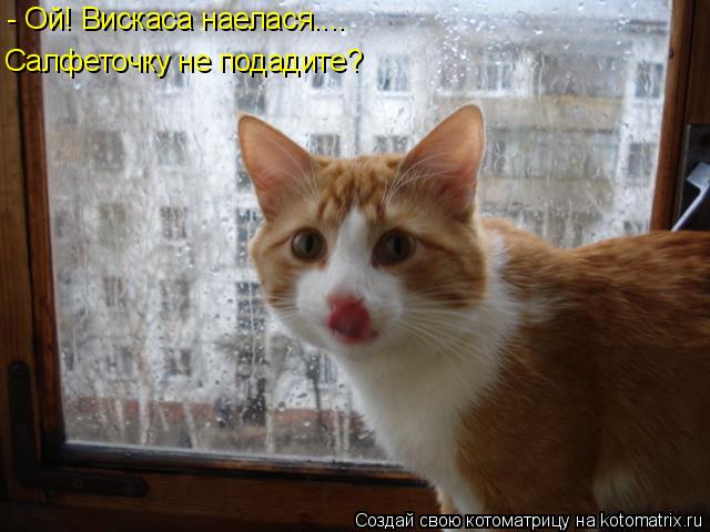 - Ой! Вискаса наелася.... Салфеточку не подадите?... Котоматрица: - Ой! Вискаса наелася.... Салфеточку не подадите?