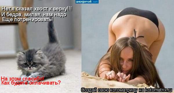 Нет,я сказал хвост к верху!!! И бедра, милая, нам надо Еще потренировать! На этом спасибо! Как будете... Котоматрица: Нет,я сказал хвост к верху!!! И бедра, милая, нам надо Еще потренировать! На этом спасибо! Как будете оплачивать?