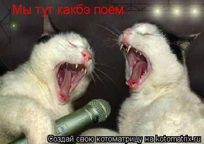 Мы тут какбэ поём...... Котоматрица: Мы тут какбэ поём...