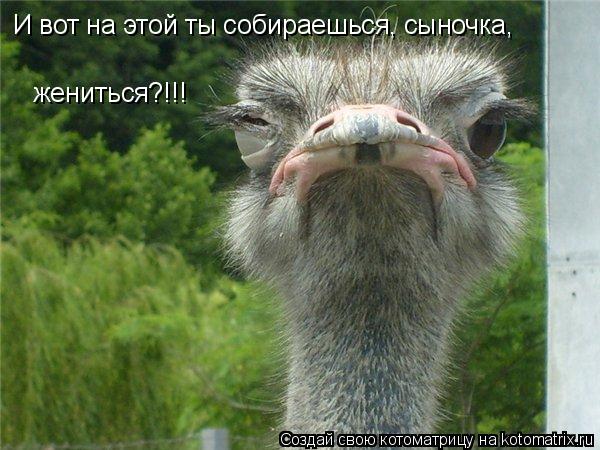 И вот на этой ты собираешься, сыночка, жениться?!!!... Котоматрица: И вот на этой ты собираешься, сыночка, жениться?!!!
