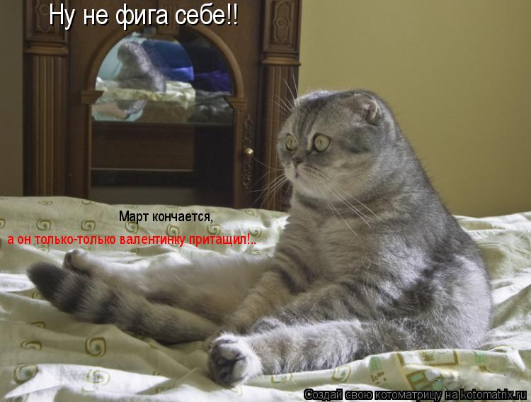 Ну не фига себе!! Март кончается, а он только-только валентинку притащил!..... Котоматрица: Ну не фига себе!! Март кончается, а он только-только валентинку притащил!..