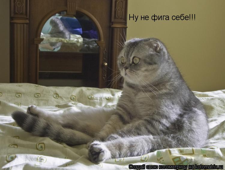 Ну не фига себе!!!... Котоматрица: Ну не фига себе!!!