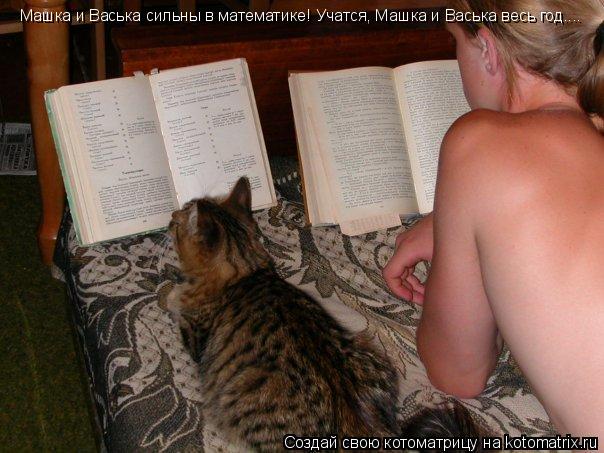 Машка и Васька сильны в математике! Учатся, Машка и Васька весь год....... Котоматрица: Машка и Васька сильны в математике! Учатся, Машка и Васька весь год....