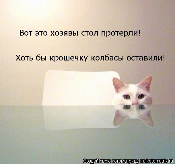 Вот это хозявы стол протерли! Вот это хозявы стол протерли! Хоть бы крошечку колбасы оставили!... Котоматрица: Вот это хозявы стол протерли! Вот это хозявы стол протерли! Хоть бы крошечку колбасы оставили!