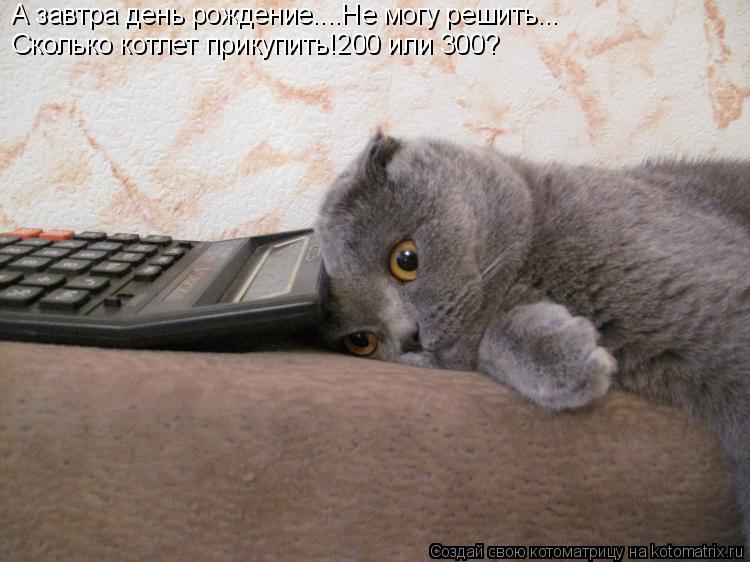А завтра день рождение....Не могу решить... Сколько котлет прикупить!200 или 300?... Котоматрица: А завтра день рождение....Не могу решить... Сколько котлет прикупить!200 или 300?