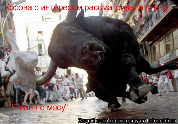 Корова с интересом рассматривала стенд "План по мясу". Корова с интересом рассматривала стенд . "План... Котоматрица: Корова с интересом рассматривала стенд "План по мясу". Корова с интересом рассматривала стенд . "План по мясу"
