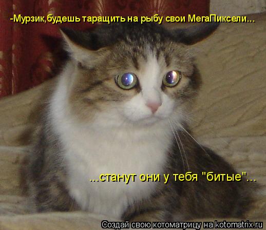 Котоматрица: -Мурзик,будешь таращить на рыбу свои МегаПиксели... ...станут они у тебя "битые"...