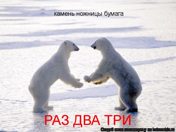 камень ножницы бумага РАЗ ДВА ТРИ... Котоматрица: камень ножницы бумага РАЗ ДВА ТРИ