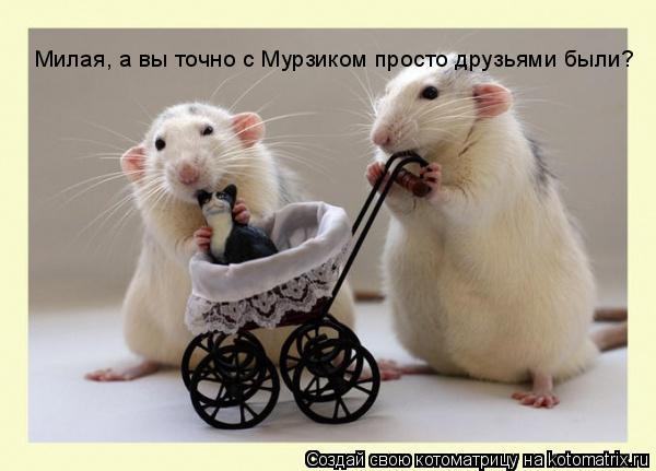 Милая, а вы точно с Мурзиком просто друзьями были?... Котоматрица: Милая, а вы точно с Мурзиком просто друзьями были?