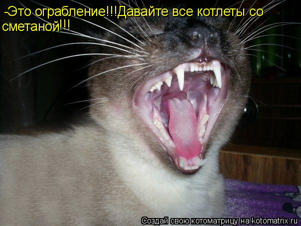 -Это ограбление!!!Давайте все котлеты со сметаной !!!... Котоматрица: -Это ограбление!!!Давайте все котлеты со сметаной !!!