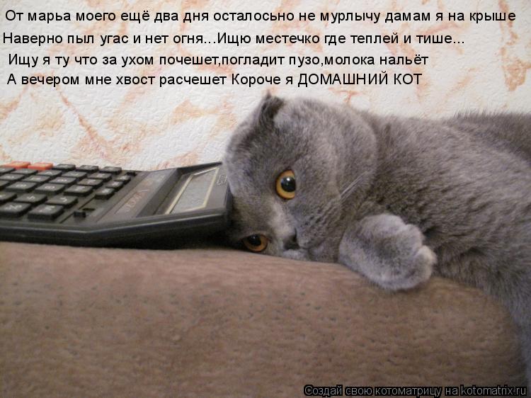 Ищу я ту что за ухом почешет,погладит пузо,молока нальёт А вечером мне хвост расчешет Короче я ДОМАШН... Котоматрица: Ищу я ту что за ухом почешет,погладит пузо,молока нальёт А вечером мне хвост расчешет Короче я ДОМАШНИЙ КОТ От марьа моего ещё два дня остал