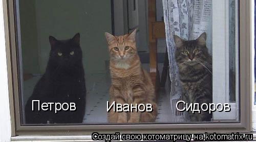 Петров Сидоров Иванов... Котоматрица: Петров Сидоров Иванов