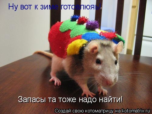 Ну вот к зиме готовлюяь! Ну вот к зиме готовлюяь! Запасы та тоже надо найти! Запасы та тоже надо найт... Котоматрица: Ну вот к зиме готовлюяь! Ну вот к зиме готовлюяь! Запасы та тоже надо найти! Запасы та тоже надо найти!