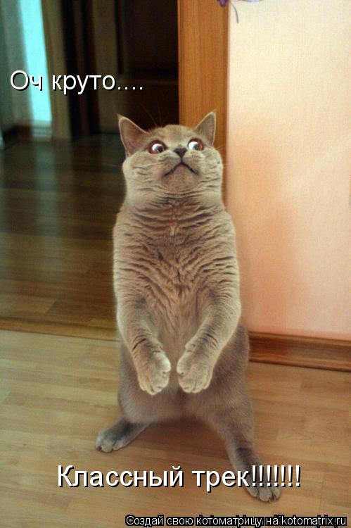 Котоматрица: Оч круто.... Классный трек!!!!!!!