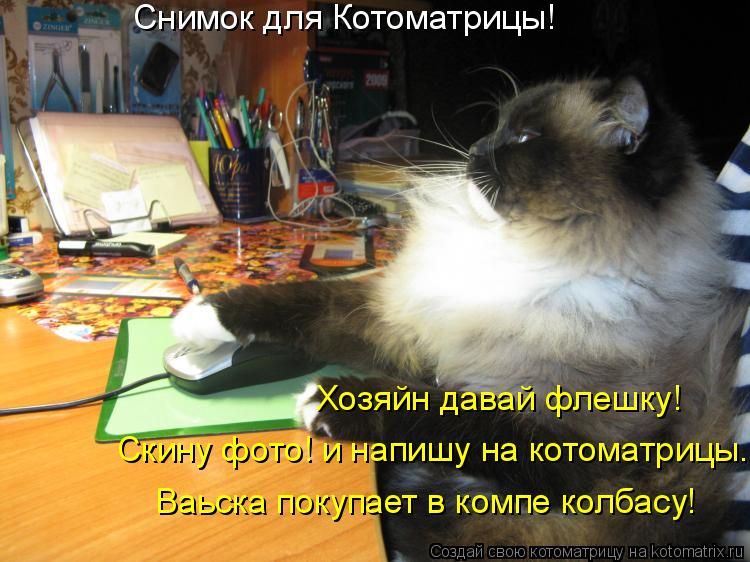Котоматрица: Снимок для Котоматрицы! Хозяйн давай флешку! Скину фото! и напишу на котоматрицы. Ваьска покупает в компе колбасу !