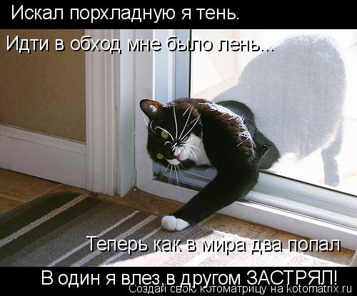 Котоматрица: Искал порхладную я тень. Идти в обход мне было лень... Теперь как в мира два попал В один я влез,в другом ЗАСТРЯЛ!