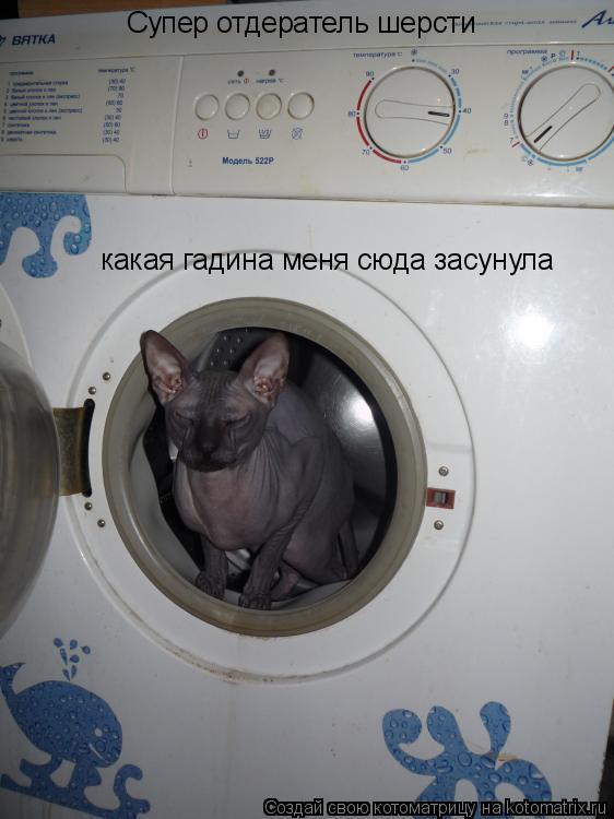Супер отдератель шерсти какая гадина меня сюда засунула... Котоматрица: Супер отдератель шерсти какая гадина меня сюда засунула