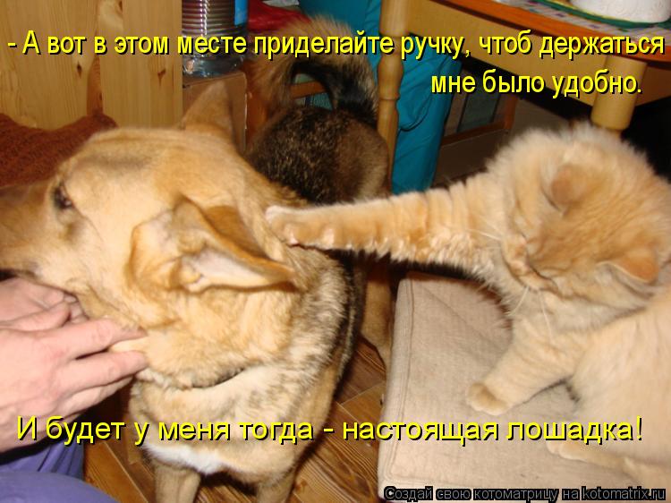 - А вот в этом месте приделайте ручку, чтоб держаться мне было удобно. И будет у меня тогда - настоящ... Котоматрица: - А вот в этом месте приделайте ручку, чтоб держаться мне было удобно. И будет у меня тогда - настоящая лошадка!
