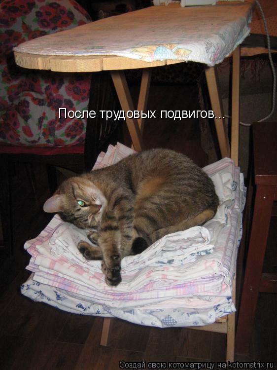 Котоматрица: После трудовых подвигов...