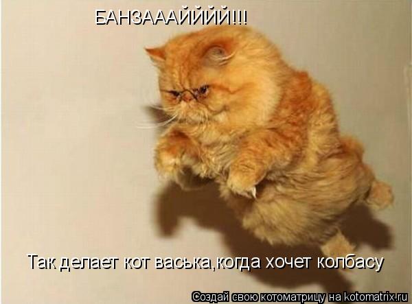 Котоматрица: БАНЗАААЙЙЙЙ!!! Так делает кот васька,когда хочет колбасу