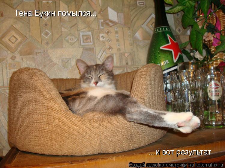 Котоматрица: Гена Букин помылся... ...и вот результат