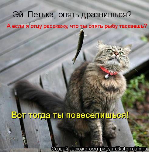 Котоматрица: Эй, Петька, опять дразнишься? А если я отцу расскажу, что ты опять рыбу таскаешь? Вот тогда ты повеселишься!