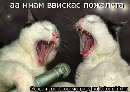 Котоматрица: аа ннам ввискас пожалста