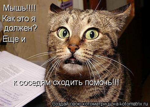 Мышь!!!! Как это я должен? Еще и к соседям сходить помочь!!!... Котоматрица: Мышь!!!! Как это я должен? Еще и к соседям сходить помочь!!!