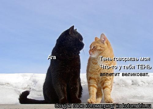 Тень говоришь моя Ага Что-то у тебя ТЕНЬ аппетит великоват.... Котоматрица: Тень говоришь моя Ага Что-то у тебя ТЕНЬ аппетит великоват.