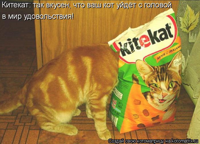 Котоматрица: Китекат: так вкусен, что ваш кот уйдёт с головой  в мир удовольствия!