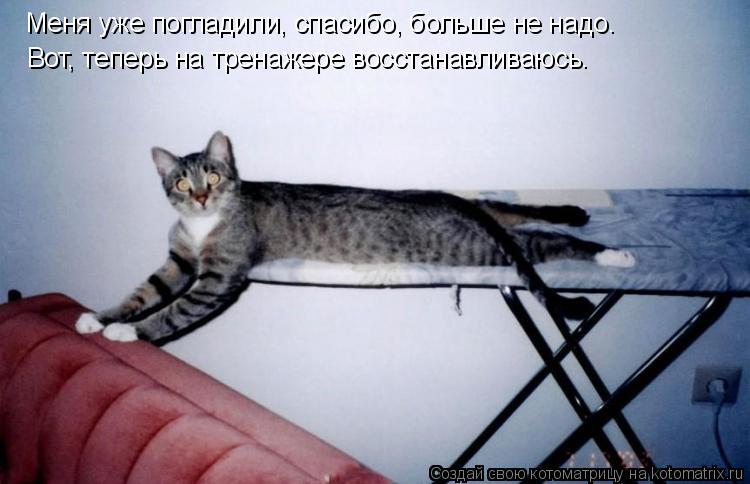 Меня уже погладили, спасибо, больше не надо. Вот, теперь на тренажере восстанавливаюсь.... Котоматрица: Меня уже погладили, спасибо, больше не надо. Вот, теперь на тренажере восстанавливаюсь.