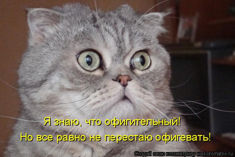 Я знаю, что офигительный! Но все равно не перестаю офигевать!... Котоматрица: Я знаю, что офигительный! Но все равно не перестаю офигевать!