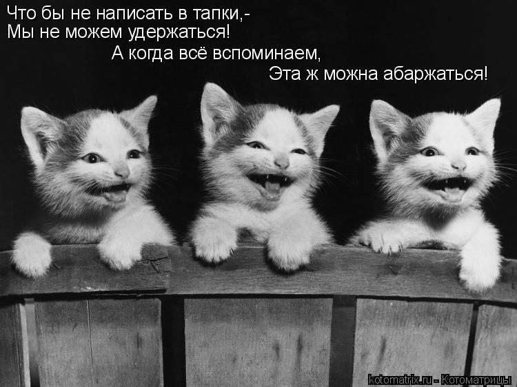 Что бы не написать в тапки,- А когда всё вспоминаем, Эта ж можна абаржаться! Мы не можем удержаться!... Котоматрица: Что бы не написать в тапки,- А когда всё вспоминаем, Эта ж можна абаржаться! Мы не можем удержаться!