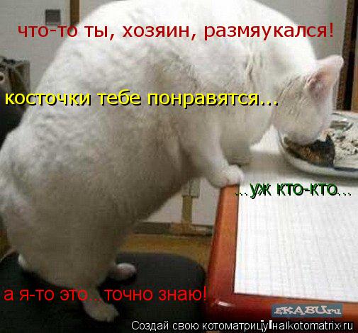 что-то ты, хозяин, размяукался! косточки тебе понравятся... ...уж кто-кто... а я-то это ...точно зна... Котоматрица: что-то ты, хозяин, размяукался! косточки тебе понравятся... ...уж кто-кто... а я-то это ...точно знаю!